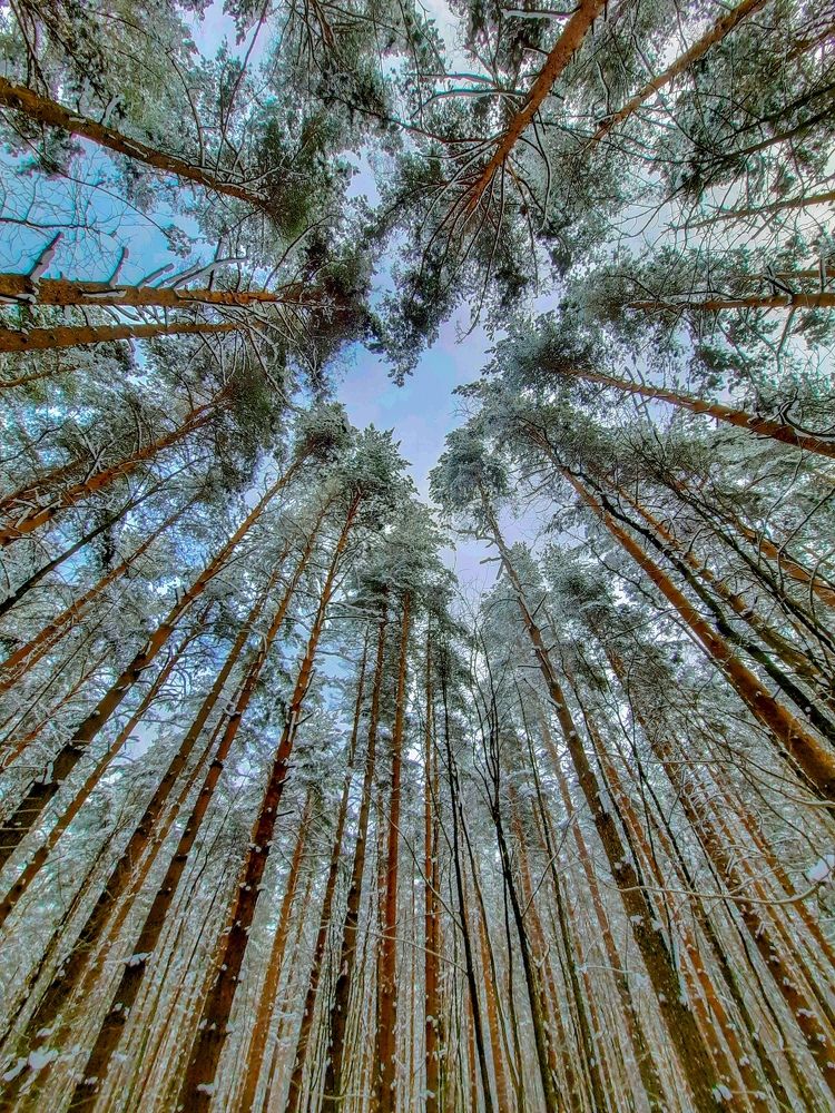 Photograph by Екатерина Казарцева