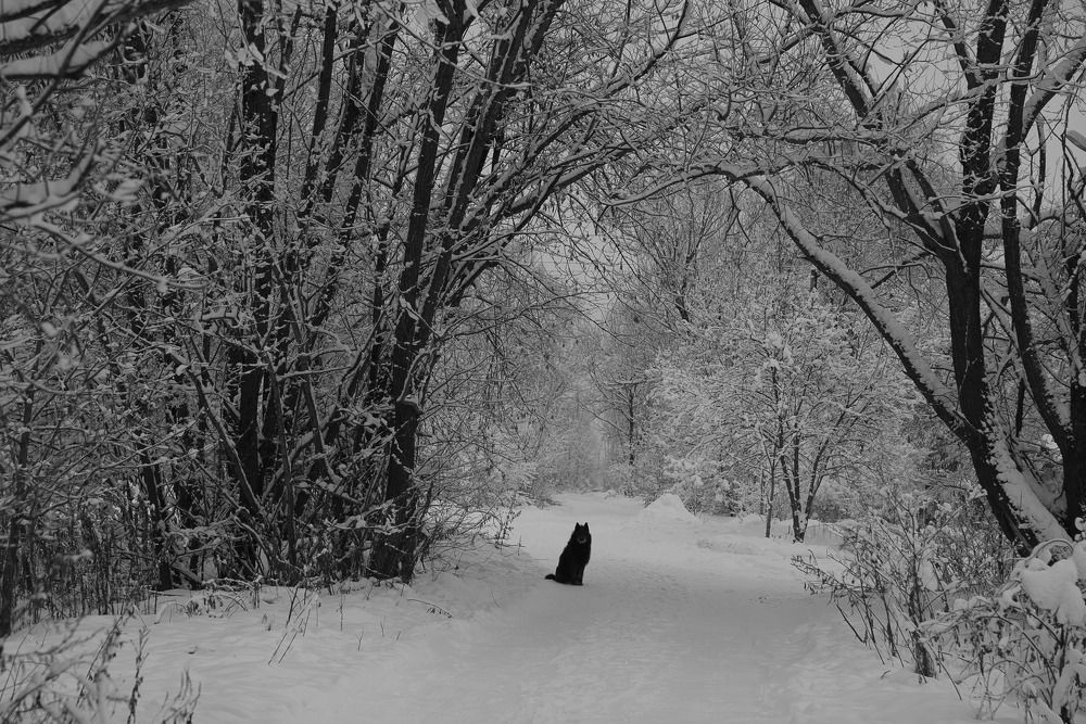 Photograph by Татьяна Линник