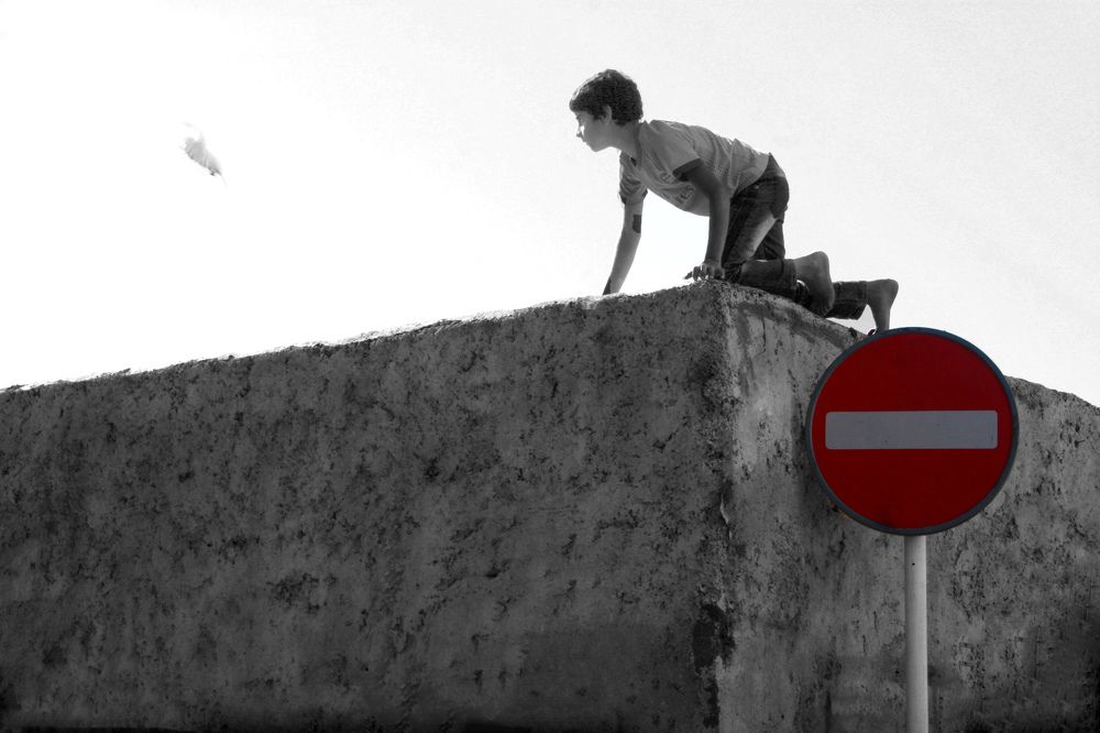 Photograph by AMIR REZA FAKHRI