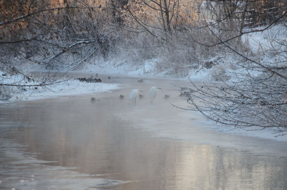 Photograph by Руслан Савченко
