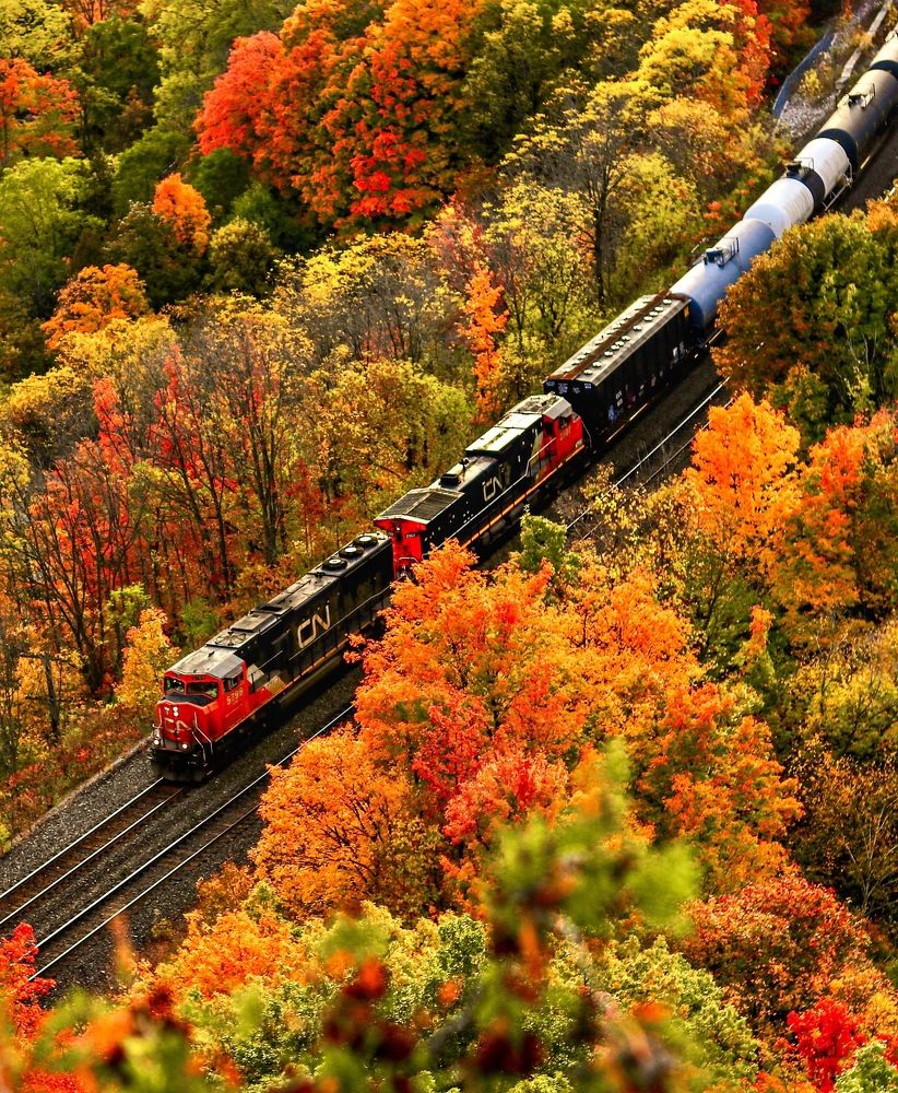 Photograph by Ayaz Chandio