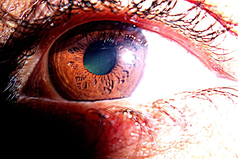 Photograph by MAHMOOD AKBAR