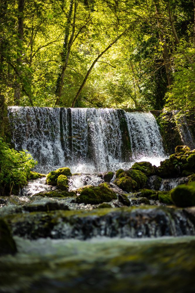 Photograph by Dragana Rulic