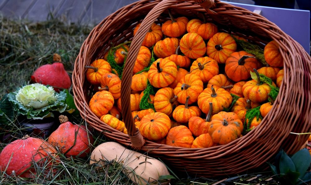 Photograph by Дмитрий Розенбаум