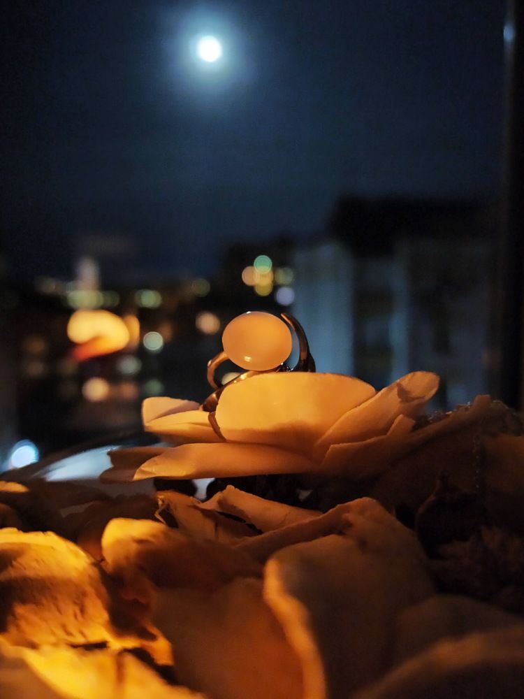 Photograph by Людмила Протасова