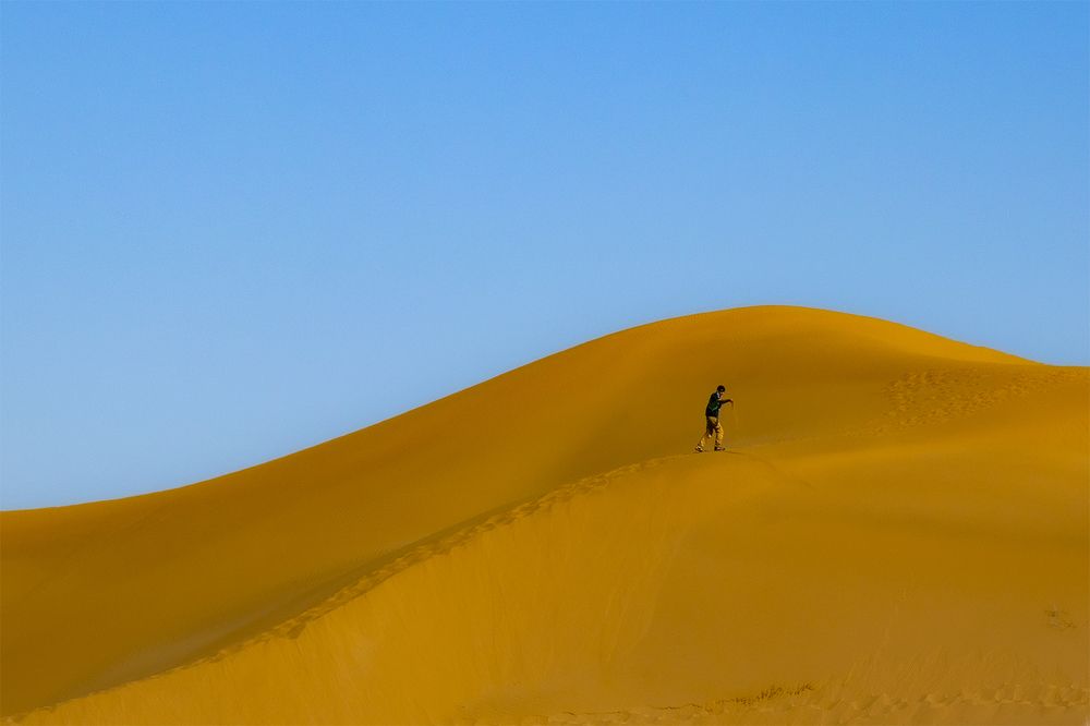 Фотография автора Milad Falahi