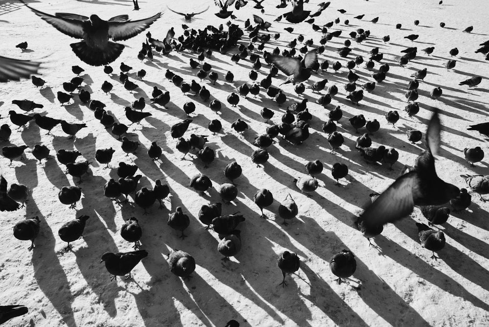 Photograph by Ксения Щербакова