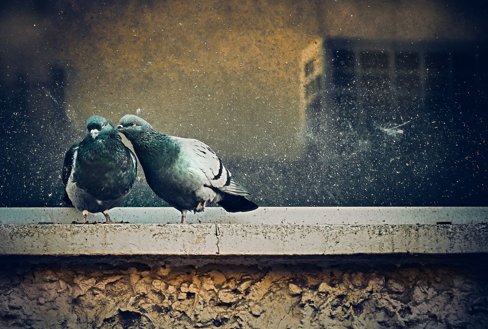 Photograph by Akexey Balen