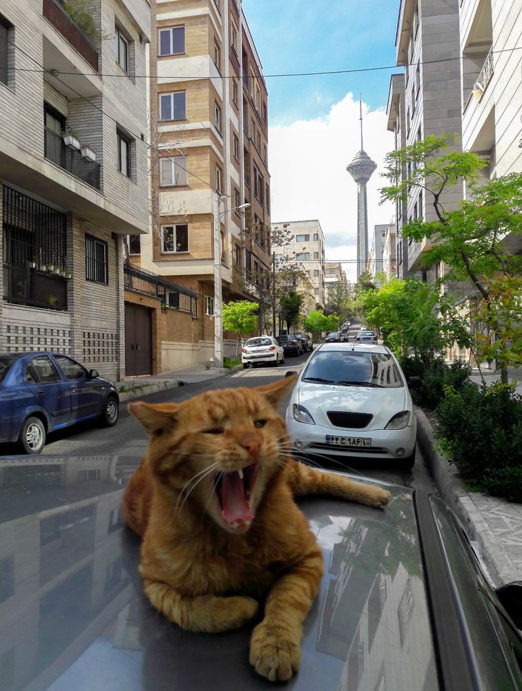 Photograph by Ольга Еженевская