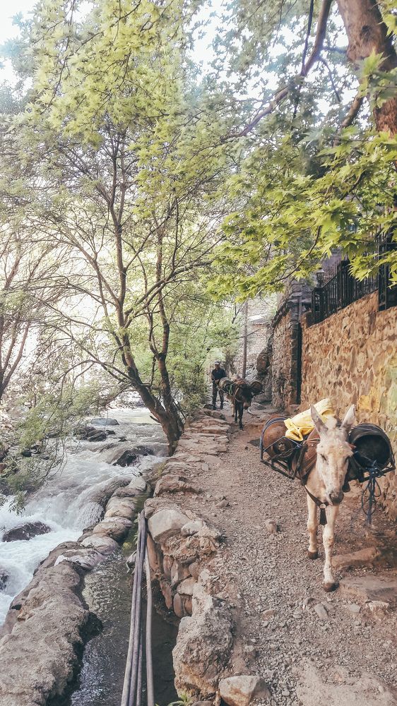 Photograph by Ольга Еженевская