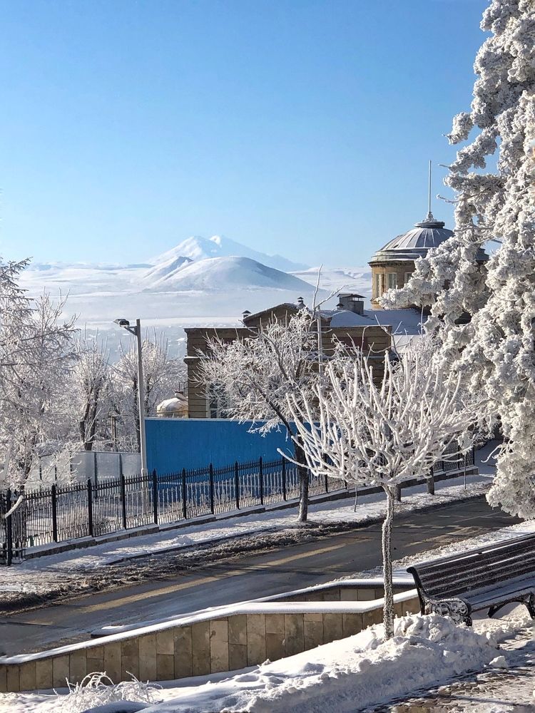 Зимняя сказка.