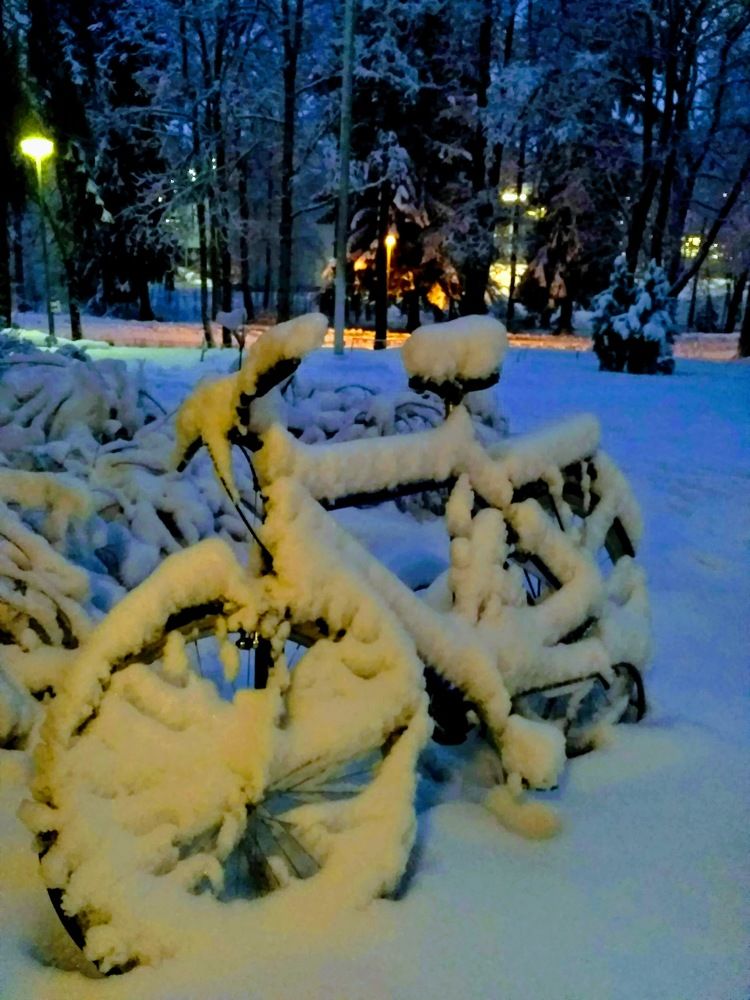 Photograph by Людмила Протасова