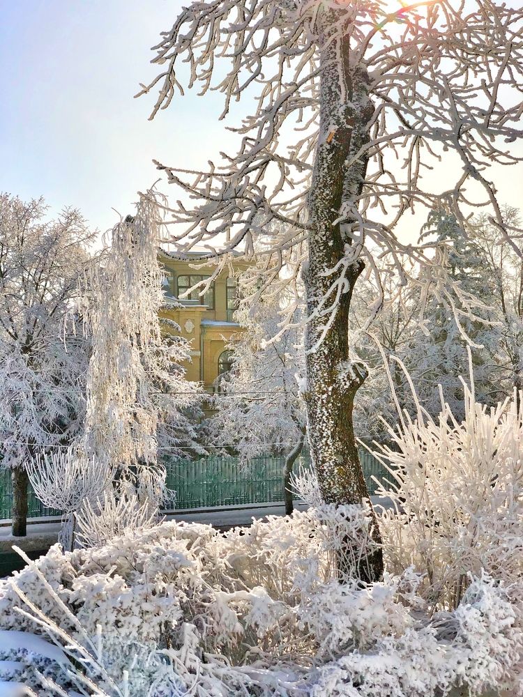 Зимняя сказка.