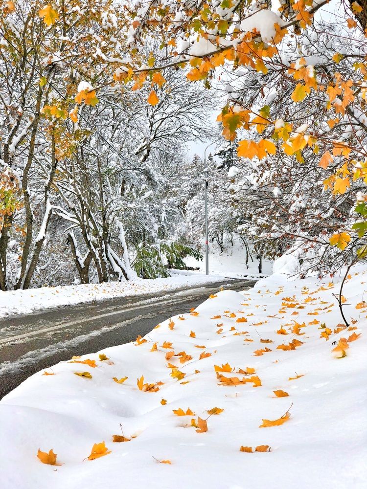 Зимняя сказка.