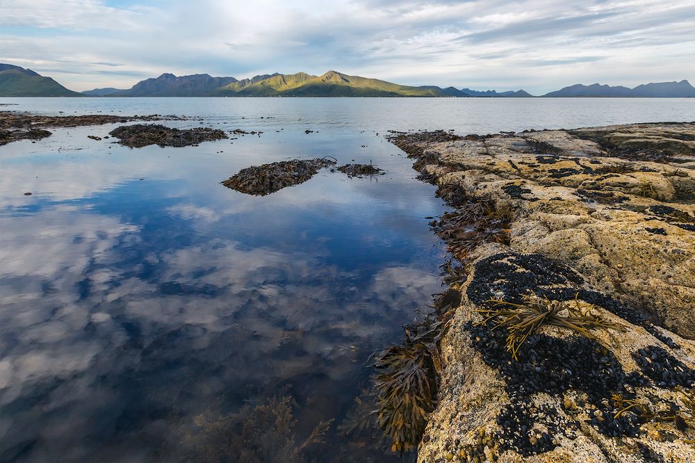 Photograph by Ярослав Лукьянов