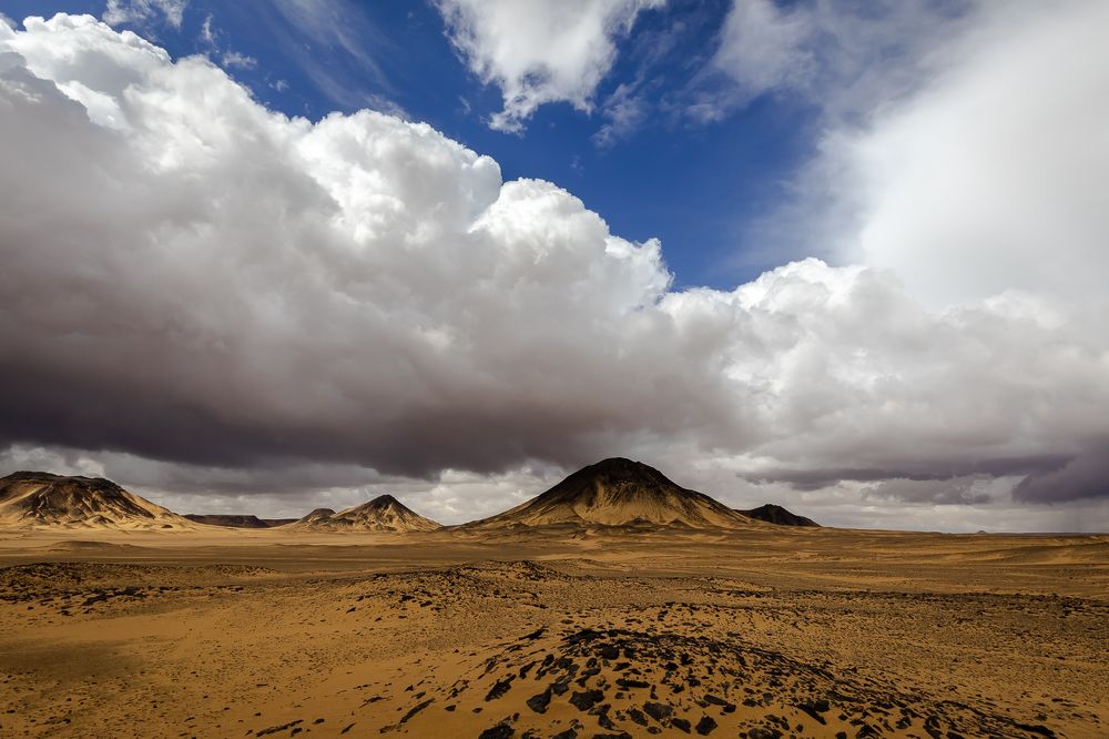 Photograph by Геннадий Зеленковец