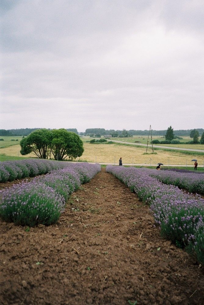 Photo #5754837