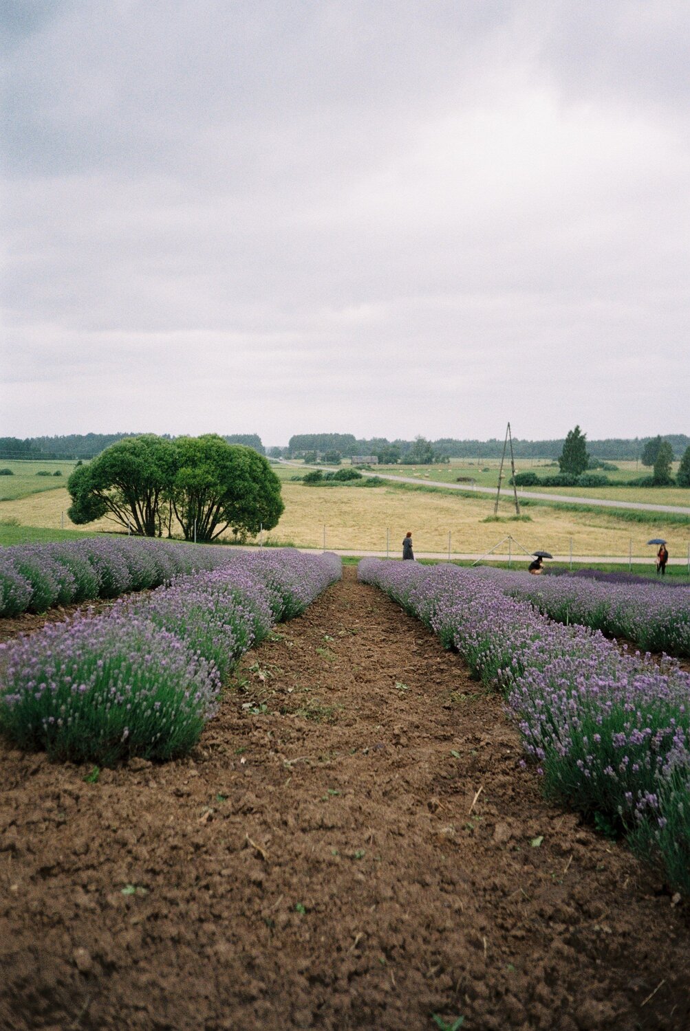 Photo #5754837