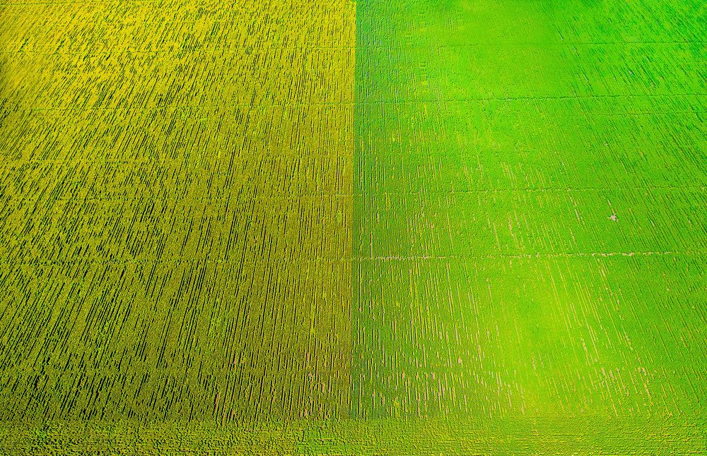 Photograph by Денис Третьяков