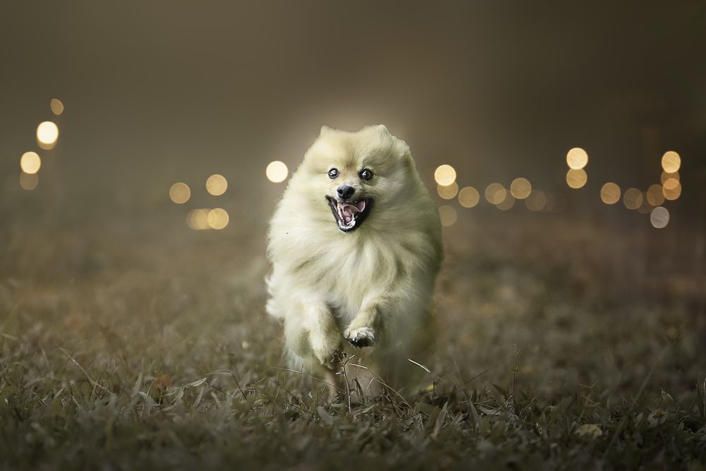 Photograph by Deise de Oliveira