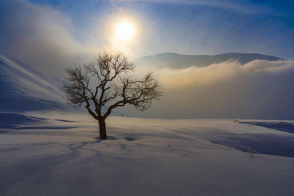 Photograph by majid hashemi