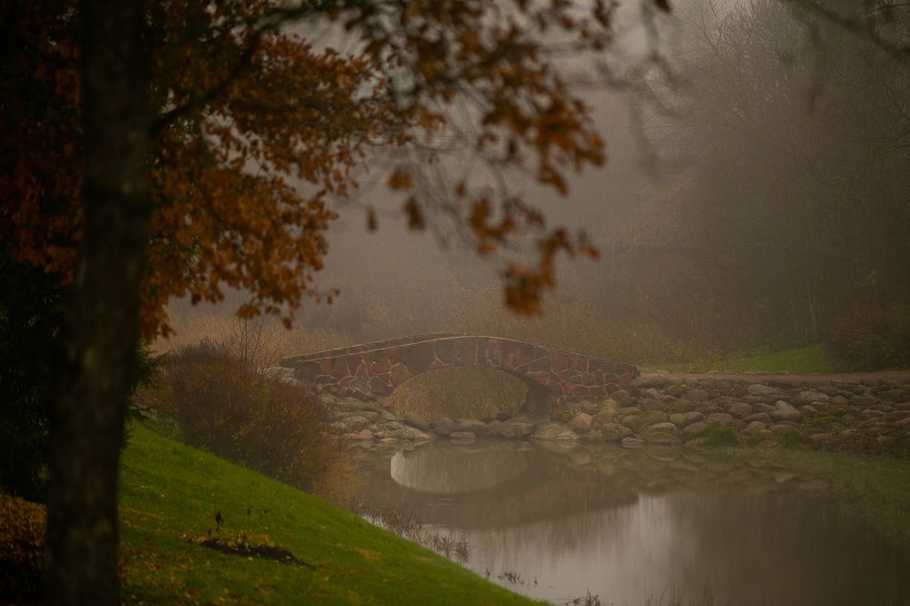 Photograph by Анастасия Ломаева