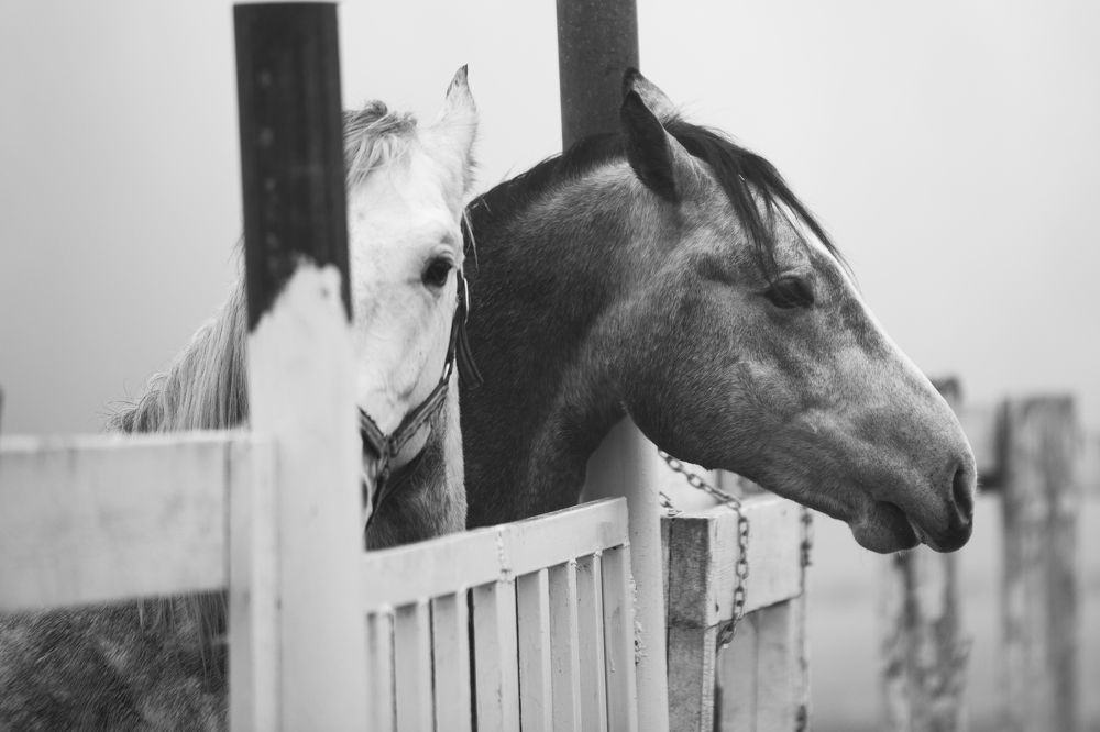 Фотография автора Анастасия Ломаева