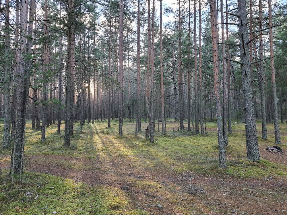Photograph by Константин Богомолов