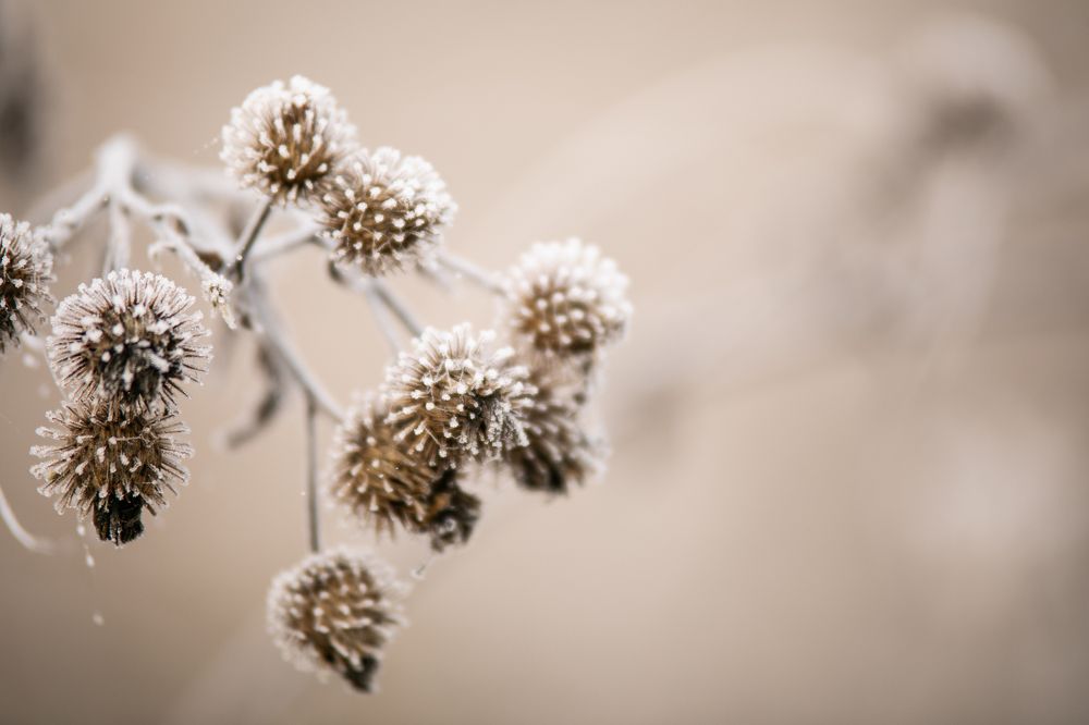 Photograph by Анастасия Ломаева