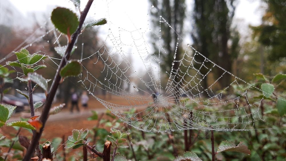 Photograph by Ирина Никитина