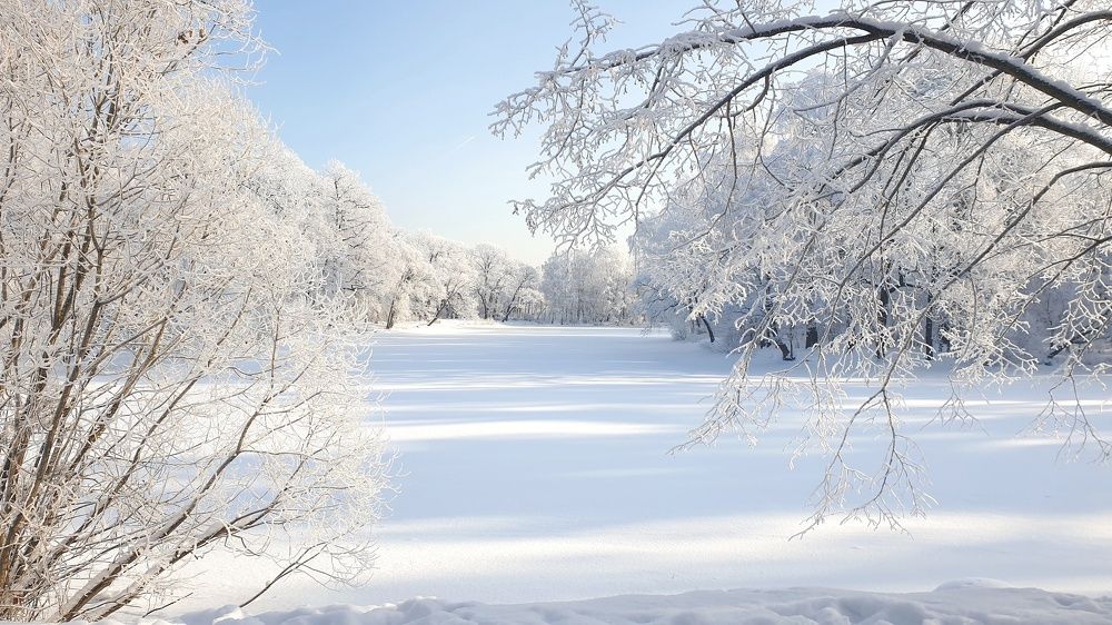 Photograph by Алексей Фомичев