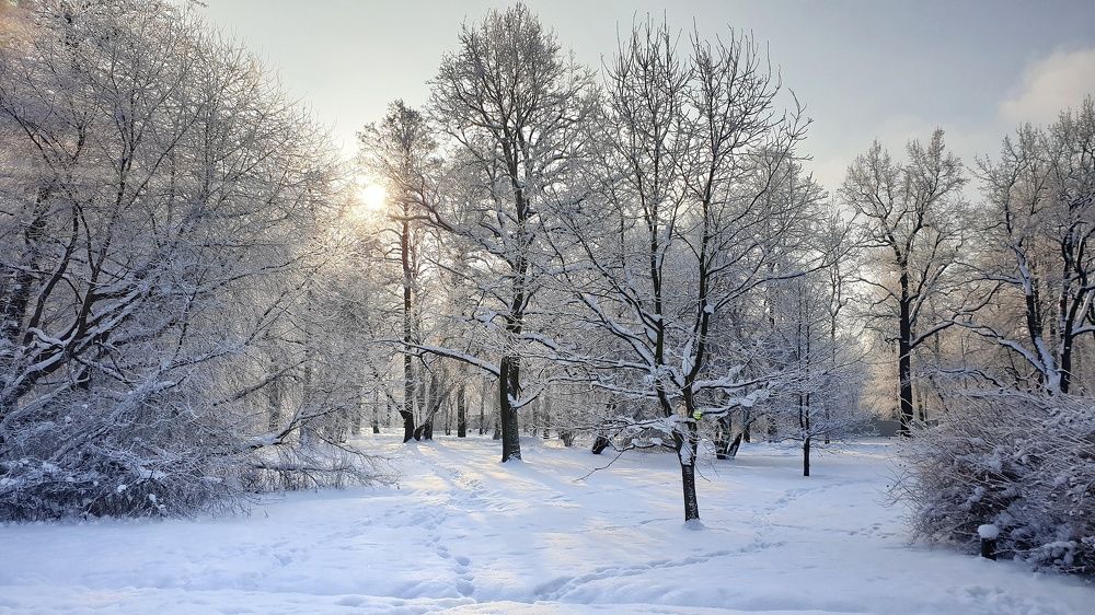 Photograph by Алексей Фомичев