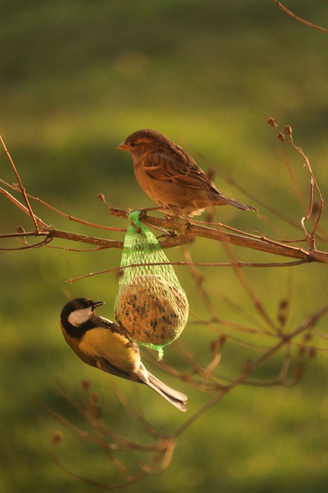 Photograph by Kristine Muceniece