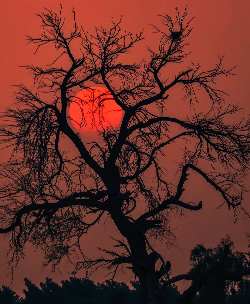 Photograph by Ayaz Chandio