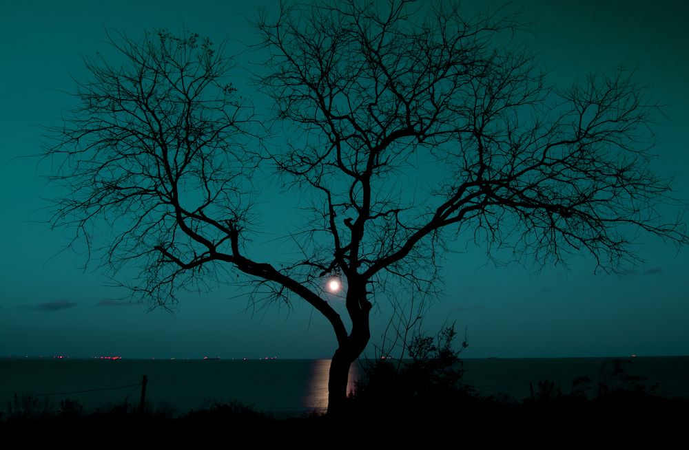 Фотография автора Андрей Иванов