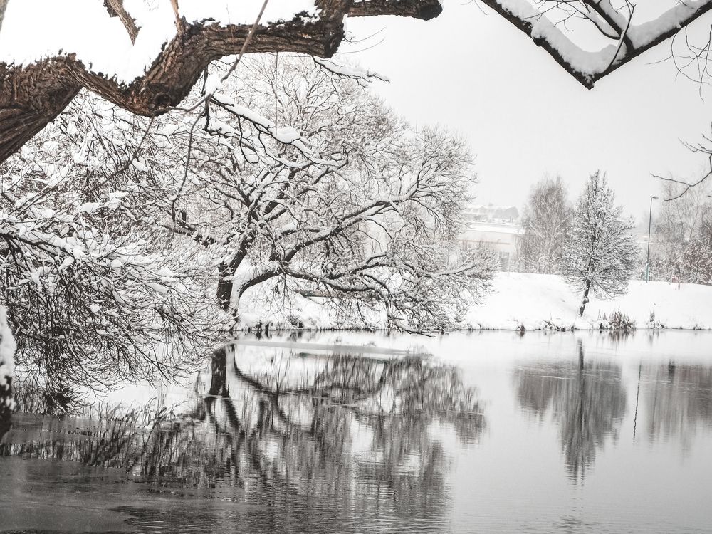 Photograph by Ольга Еженевская