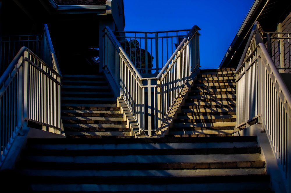 Photograph by Claimant Alexander Look