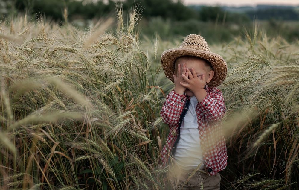 Прятки во ржи