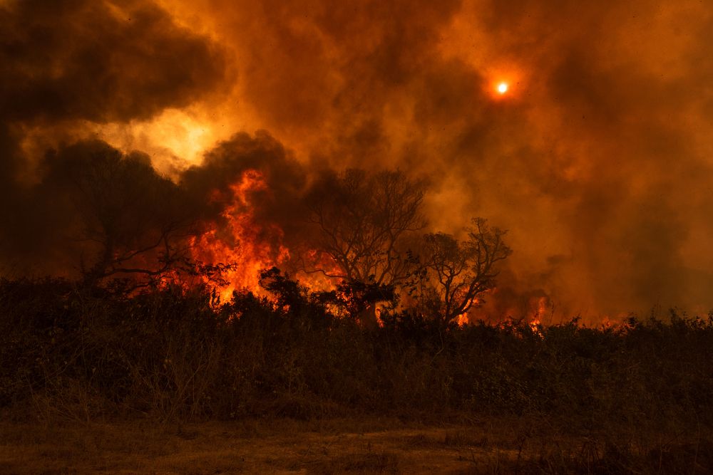 Фотография автора Gustavo Basso