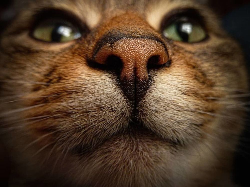 Photograph by Ольга Еженевская