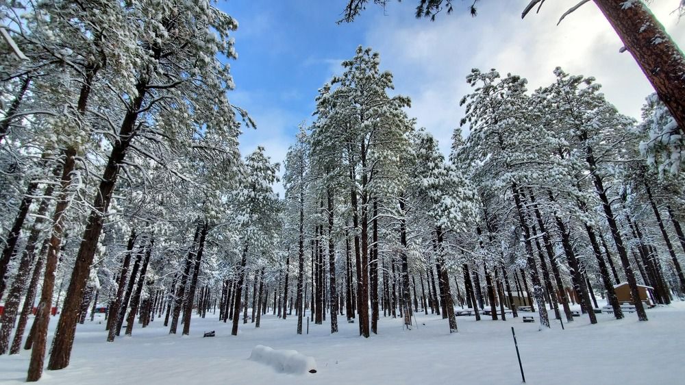 Photograph by Gulnaz Sabirova