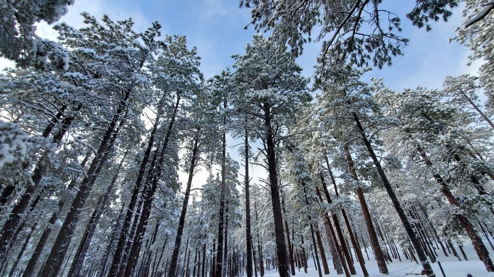 Photograph by Gulnaz Sabirova