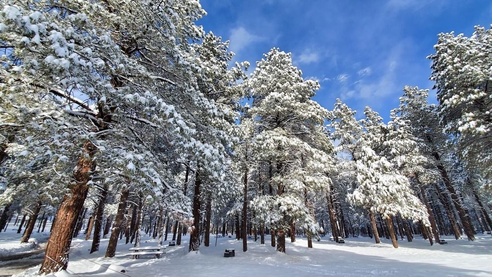 Photograph by Gulnaz Sabirova