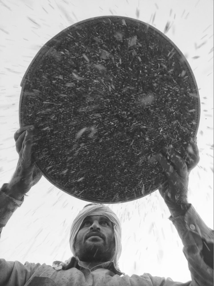 Photograph by Seyed Ehsan Mortazavi