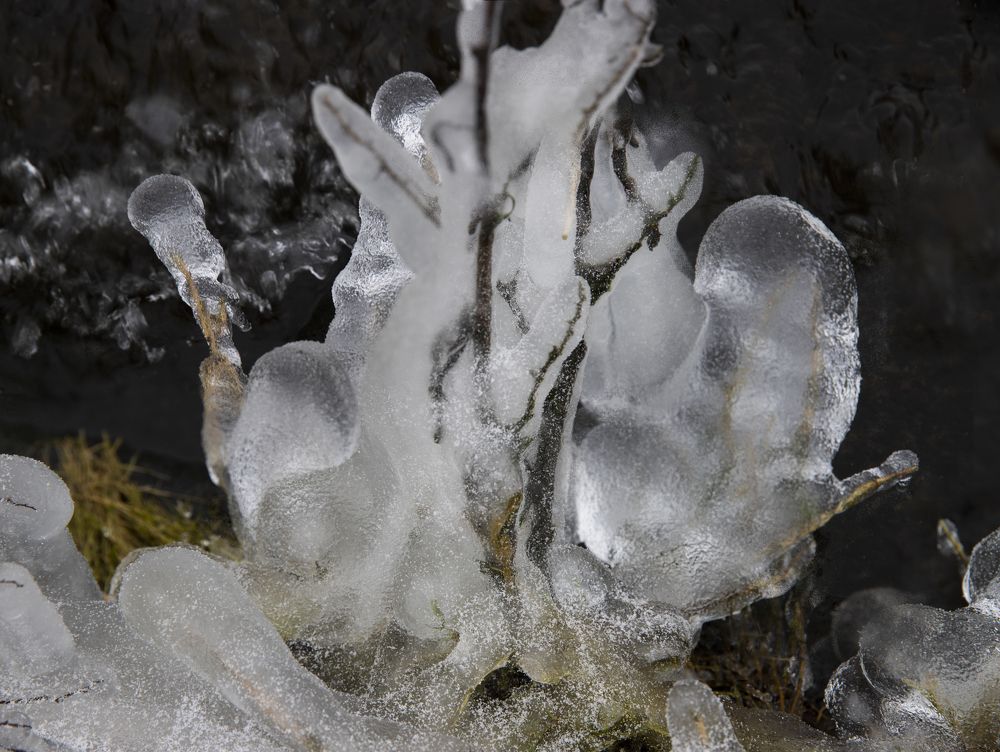 Photograph by Louis Sauter