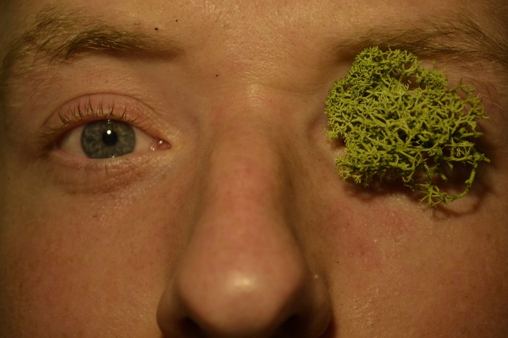 Photograph by Jozsef Cselenyi