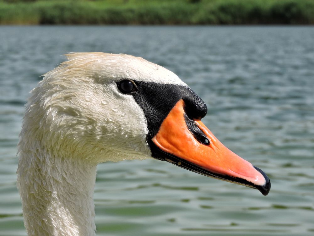 Photograph by Александр Захаров