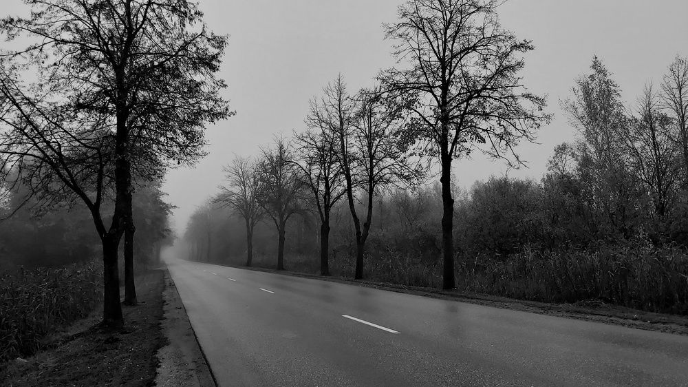 Photograph by Егор Журавлёв