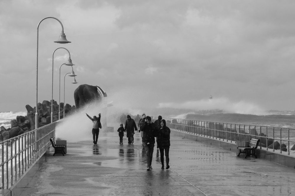 Photograph by Kristine Muceniece