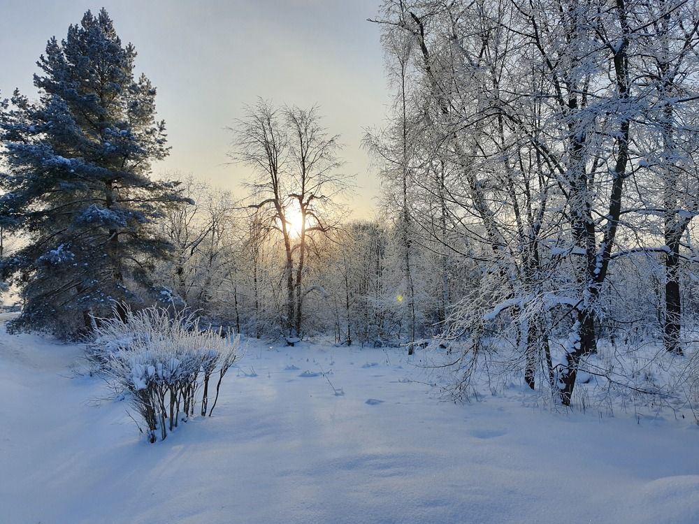 Photo #5755531